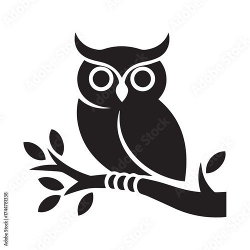 owl sitting on branch