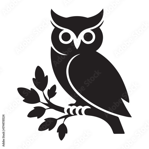 owl sitting on branch