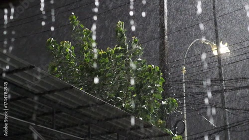 Heavy storm rain fall on transparent roof of terrace at night, Chaotic strong wind storm with tree flowing texture shot