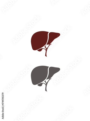 Liver icon vector image. Human organ. Bile. Simple organ of human body isolated in white background.

