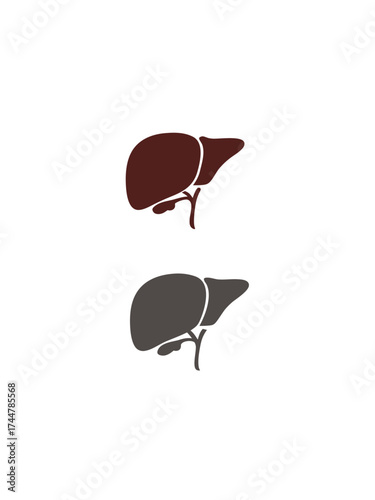 Liver icon vector image. Human organ. Bile. Simple organ of human body isolated in white background.

