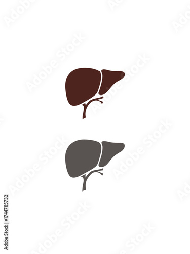 Liver icon vector image. Human organ. Bile. Simple organ of human body isolated in white background.

