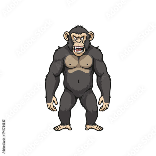 Chimpanzee with a white background 