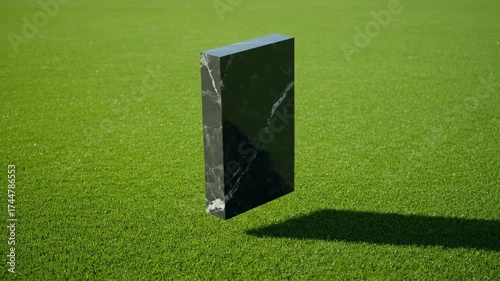 soccer ball on the grass