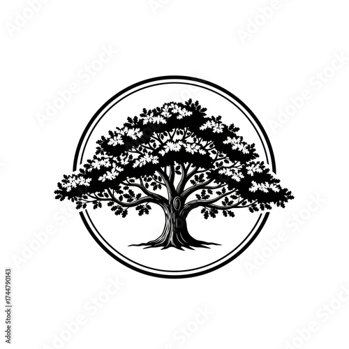 Stylized Black and White Oak Tree Emblem.