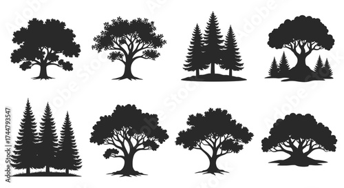 Collection of stylized black silhouettes of various tree types, isolated.