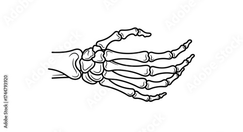 A skeletal hand is depicted in a black and white illustration, showing the bones of the wrist, palm, and fingers.