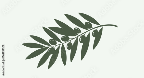 Elegant olive branch illustration featuring lush green leaves and plump olives, ideal for Mediterranean-themed designs, packaging, or nature-inspired artwork projects.