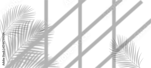 barbed wire fence