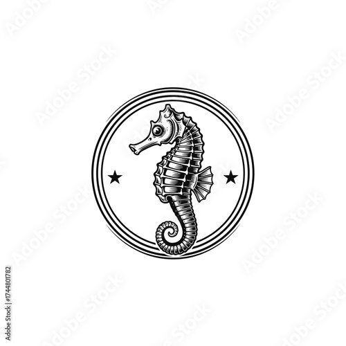Detailed seahorse illustration in a circular frame with stars.