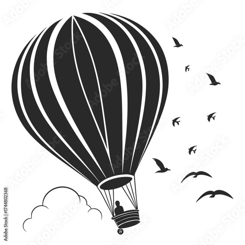 hot air balloon in sky