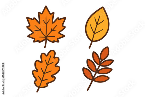 Autumn leaves icon set vector illustration. Colorful cartoon fall leaf collection with maple and oak. Seasonal nature foliage elements for graphic design isolated on white.