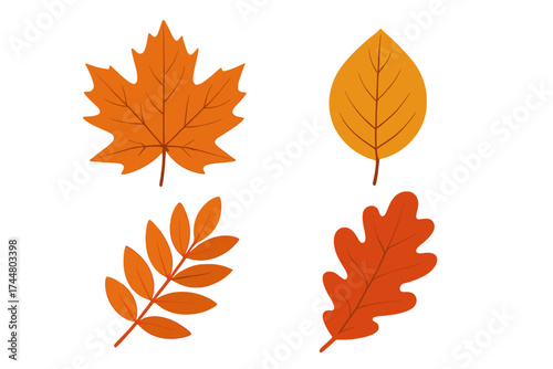 Set of four autumn leaves vector illustration. Maple, oak, and other tree foliage icons in flat style. Seasonal nature design elements isolated on white for fall decoration.