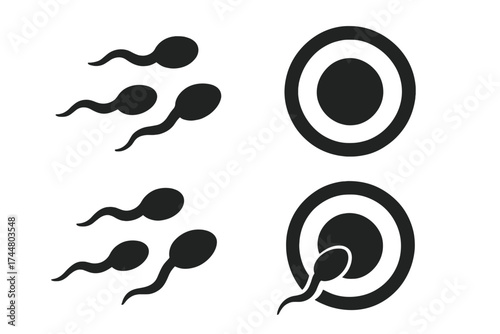 Fertilization process vector icon set. Sperm cell meets egg ovum. Human reproduction, conception, pregnancy symbol. Medical, biology, science graphic for fertility clinic, IVF.