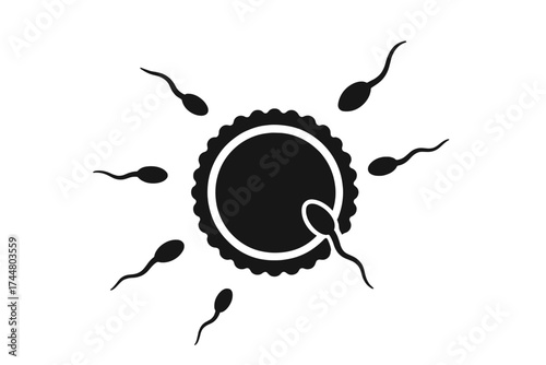 Conception icon. Ovum fertilization by sperm. Human reproduction and pregnancy concept. Insemination, zygote formation. Medical biology vector illustration of egg and sperm.