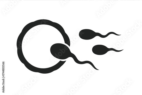 Fertilization process icon with sperm cell penetrating egg ovum. Conception, human reproduction, pregnancy concept. Gynecology, biology, infertility vector symbol. New life.