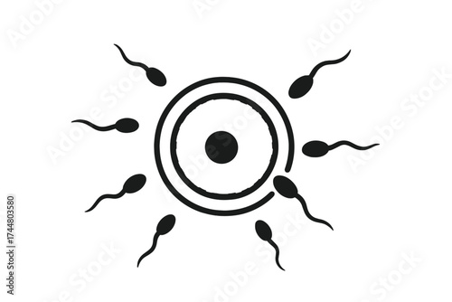 Sperm fertilizing an ovum vector icon. Conception and reproduction concept. Fertilization process. Pregnancy, new life, insemination. Gynecology, fertility, embryology science.
