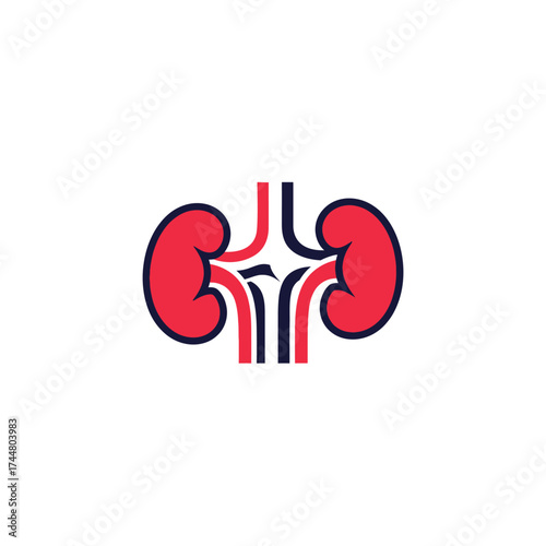 Stylized illustration of human kidneys with connecting blood vessels and urinary tract, presented in a clean, modern graphic design.
