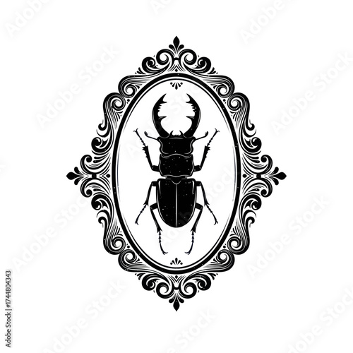 Stag beetle silhouette inside an elegant vintage oval frame.