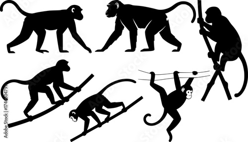 Six monkey silhouettes in various poses walking climbing sitting and jumping primate animals collection set