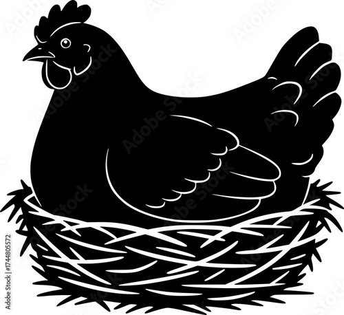 Hen sitting in nest with detailed feathers comb and woven straw nesting chicken poultry bird