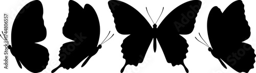 Delicate butterfly silhouettes collection featuring four graceful species with elegant wing shapes for nature design