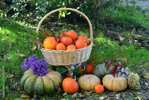 Wallpaper Mural Vintage still life with pumpkins in the basket, flowers and decorations outside, thanksgiving day background, autumn calendar season concept Torontodigital.ca