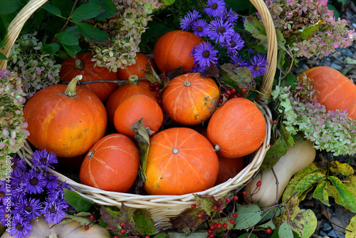 Wallpaper Mural Vintage still life with pumpkins in the basket, flowers and decorations outside, thanksgiving day background, autumn calendar season concept Torontodigital.ca