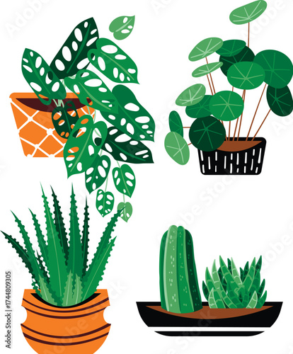 Hand drawn houseplant