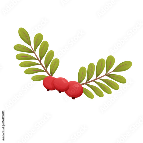 cranberry branch featuring three red berries and green leaves, nature and healthy lifestyle