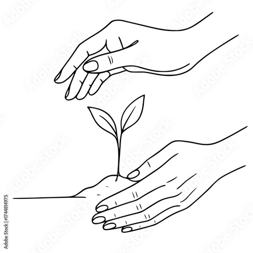 hands planting a small sprout