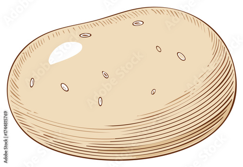 Vector Illustration of a Russet Potato with Eye Marks and Textured Skin