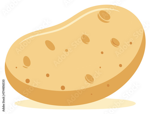 Illustration of a single fresh potato, close-up view. Isolated on white.