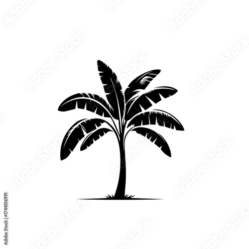 Banana Tree Vector Illustration – Tropical Banana Plant with Broad Green Leaves and Yellow Fruit Cluster