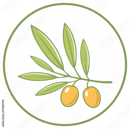 Olive Branch with Fruit and Leaves in Circle