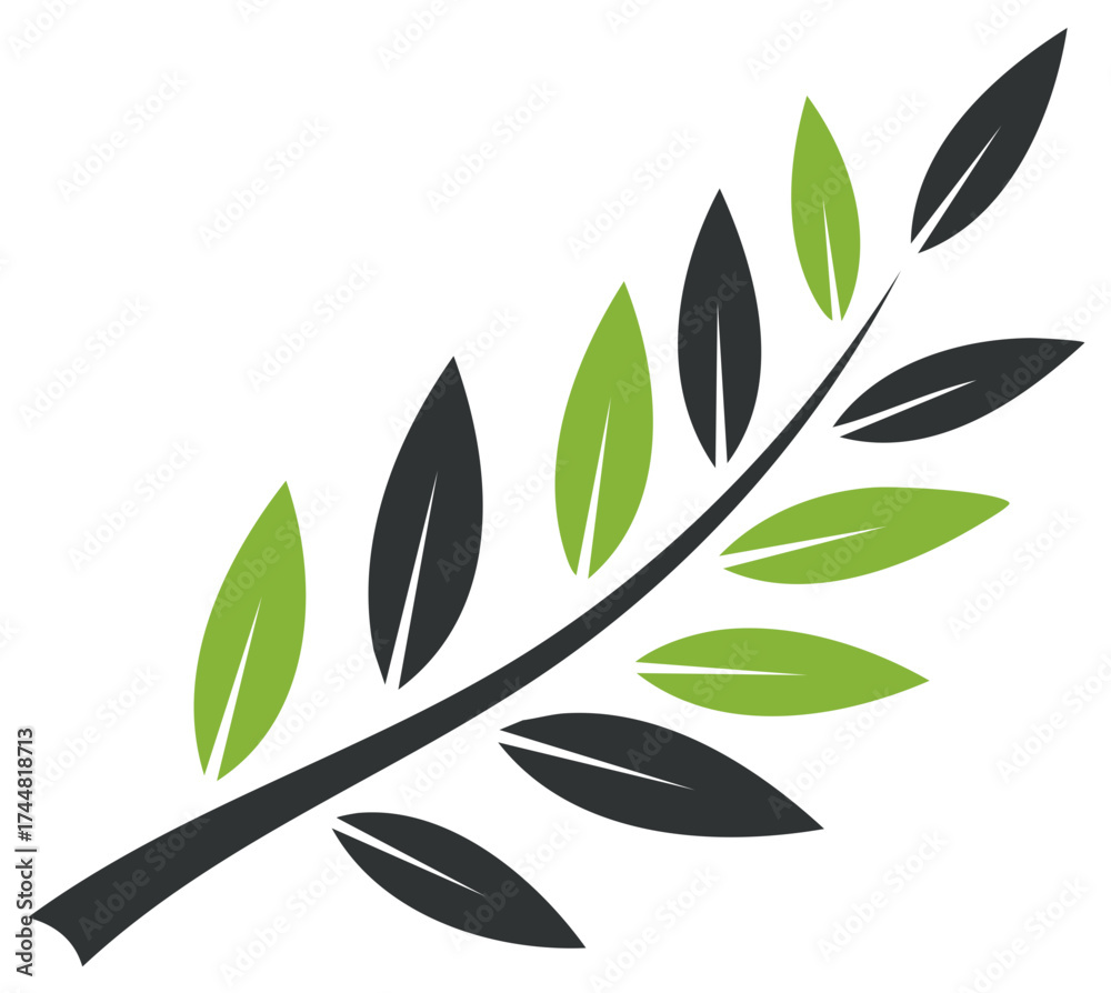 Fototapeta premium Stylized Olive Branch: Green and Gray Leaves on a Stem, Natural Design Element