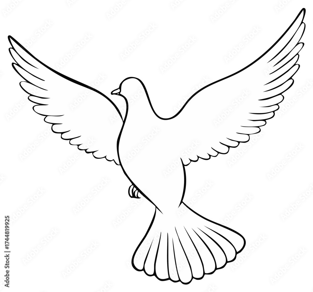 Fototapeta premium Line art illustration of a flying dove with open wings
