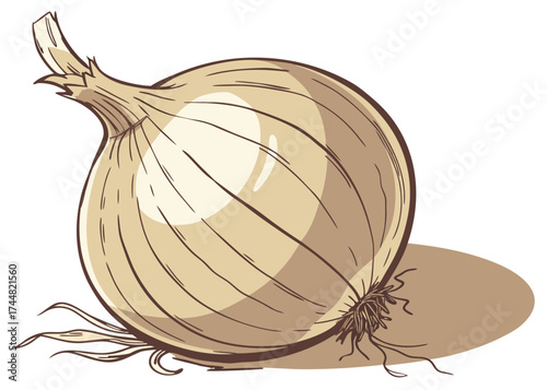 Onion Illustration: A simple yet detailed illustration of a single, fresh onion, showcasing its layers and form with a focus on the raw essence of nature's bounty.