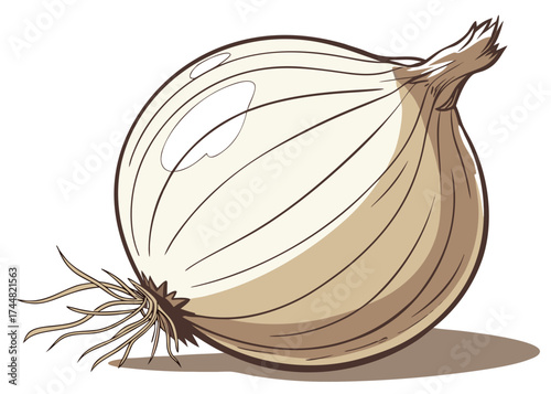 Onion illustration : a close-up, meticulously crafted illustration of a fresh, single onion, highlighting its distinct layers and texture.