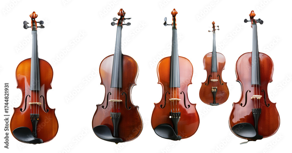 Naklejka premium Different sizes and types of violins from small to large isolated on transparent background