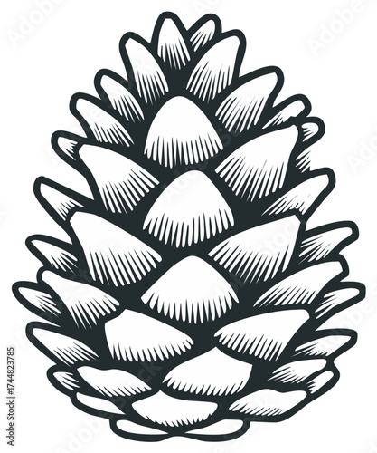 Stylized pine cone black and white vector illustration graphic design element nature symbol