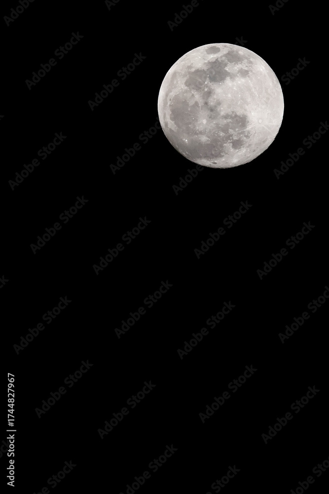 Obraz premium Full Moon in Clear Night Sky with Visible Craters