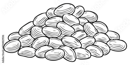 Pile of whole almond nuts in a black and white vintage sketch or woodcut style illustration