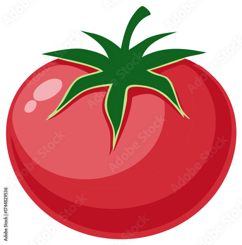 Vibrant vector illustration of a ripe red tomato with green stem and leaves