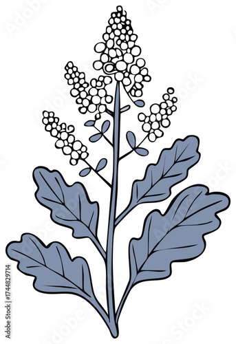 Illustrated Flower Spike in Gray and Black Botanical Sketch Nature Floral Element Graphic Art