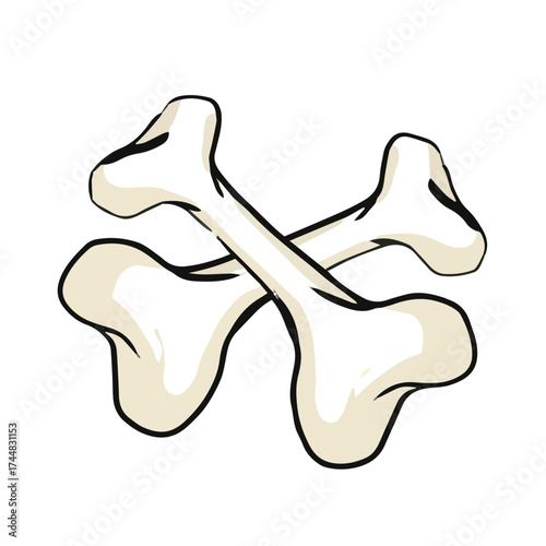 HALLOWEN BONES HORROR VECTOR