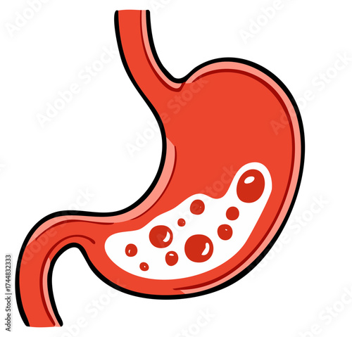 Stylized Illustration of Human Stomach with Digestion Bubbles