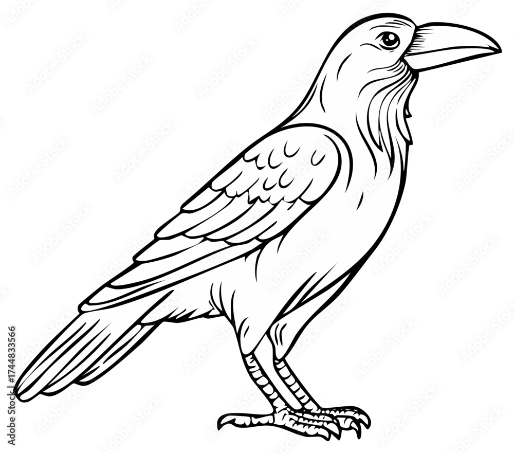 Obraz premium Majestic Crow Bird Line Art Illustration Isolated Black and White Drawing