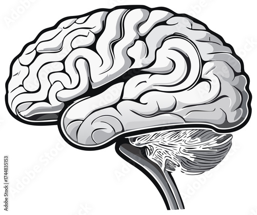 Stylized human brain side profile illustration in shades of gray for abstract thought concepts