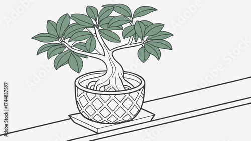A stylized bonsai tree with green leaves in a patterned pot sitting on a small square platform on a ledge